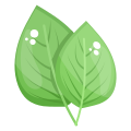 Leaves icon