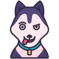 Siberian Husky icon