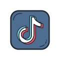 TikTok icon