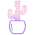 Cactus icon