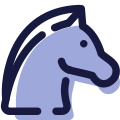 Year of Horse icon