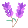 Lavender icon