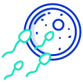 Sperm icon