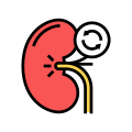 Kidney Transplant icon