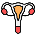 Uterus icon