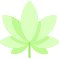 Foglia di Marijuana icon