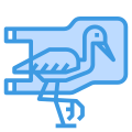 Oiseau icon