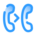 Call Transfer icon