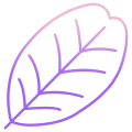 Carob Tree Leaf icon