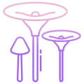 Milk Mushrooms icon