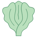 Grüner Salat icon