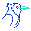 Oiseau icon