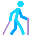 Nordic Walking icon