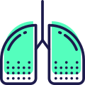 Lungs icon