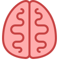 Brain icon