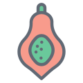 Papaya icon