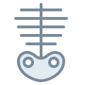 Skeleton icon