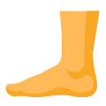 caviglia icon