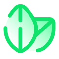 Cibo naturale icon