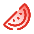 Watermelon icon