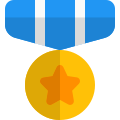 Star circle medal for the air force officers icon