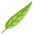 Gum Tree Leaf icon