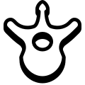 Vertebra icon