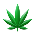 마리화나 잎 icon