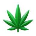 Foglia di Marijuana icon