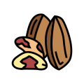 Brazil Nut icon