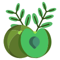 Gooseberry icon