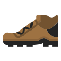 Shoe icon