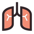 Pulmones icon