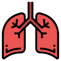 LUNGS icon