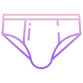 Briefs icon