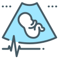 Embryo icon