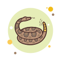 Rattlesnake icon