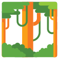 Rainforest icon