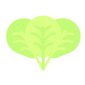 Oregano icon