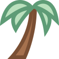 Palm Tree icon