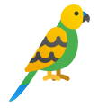 Budgie icon