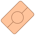 生物识别护照 icon