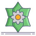 Gardenia icon