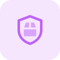 Parcel service with courier safety coverage plan layout icon