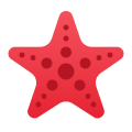 Starfish icon