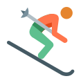 pele de esqui tipo 3 icon