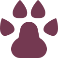 Dog Paw icon