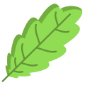 Oak Leaf icon