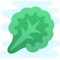 Kale icon