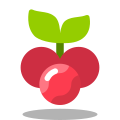 Christmas Berry icon